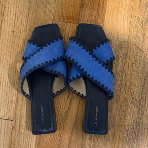 Ann Taylor Navy and Blue Mules